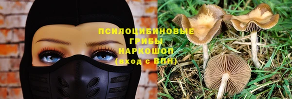 гидра Балабаново