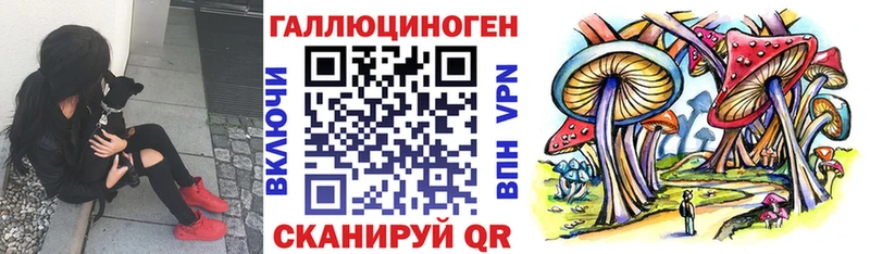 как найти закладки  Туапсе  Галлюциногенные грибы Cubensis 